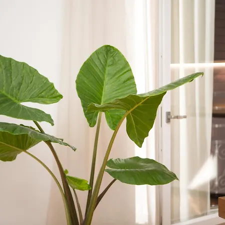 Enjoy - Luxury Experience In The Heart Of Apartment *
